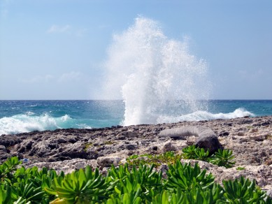 East End Blow Holes