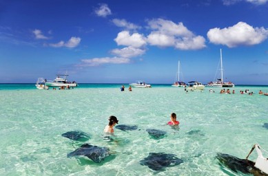 Stingray City and The Sandbar