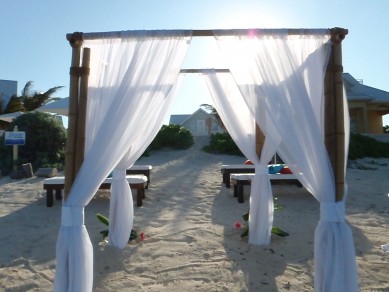 Weddings at Ocean Paradise 